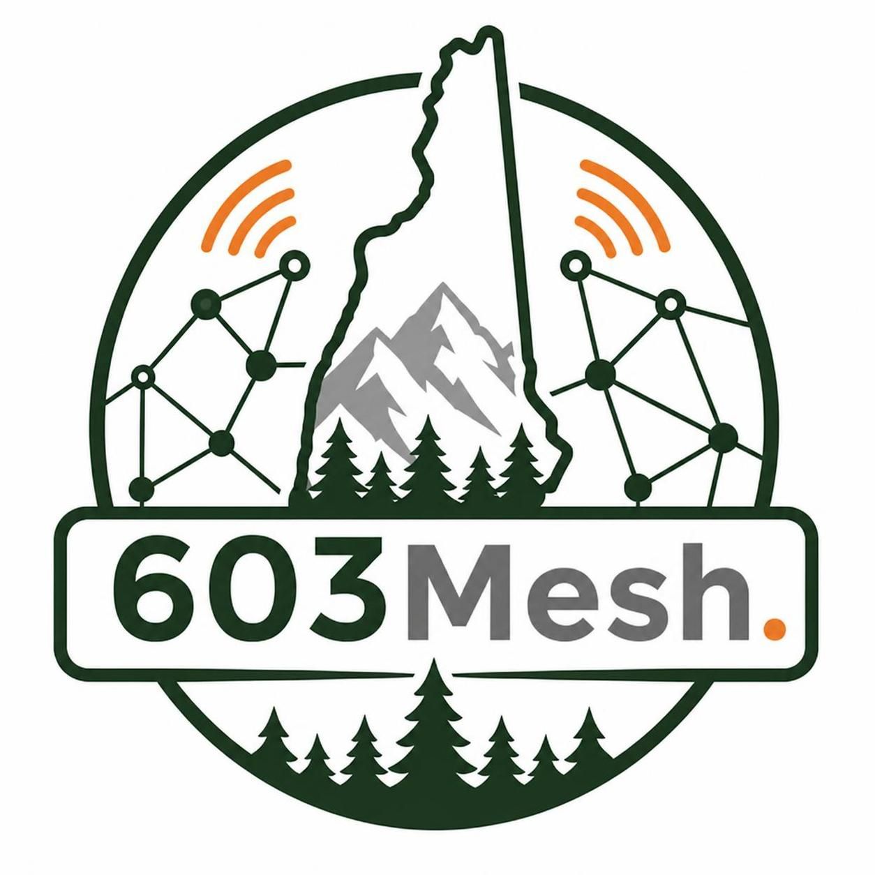 603Mesh.com
